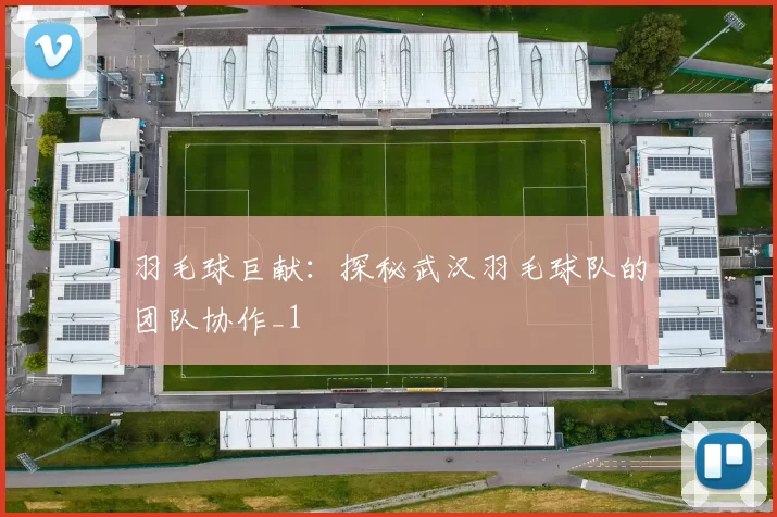 羽毛球巨献：探秘武汉羽毛球队的团队协作_1