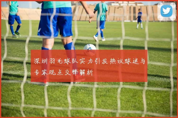 深圳羽毛球队实力引发热议球迷与专家观点交锋解析