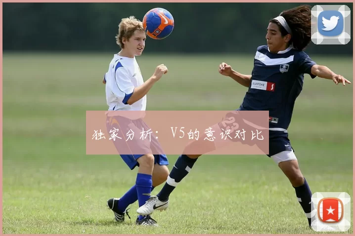 独家分析：V5的意识对比