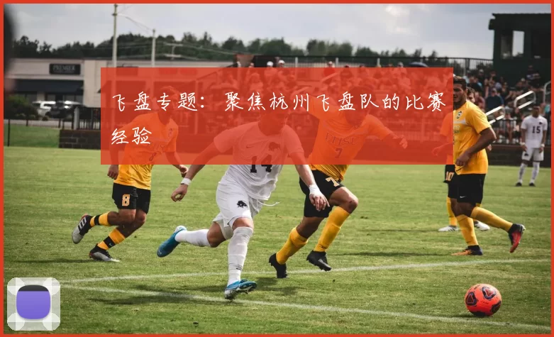 飞盘专题：聚焦杭州飞盘队的比赛经验