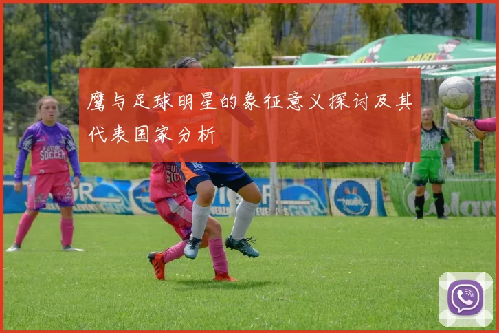 鹰与足球明星的象征意义探讨及其代表国家分析
