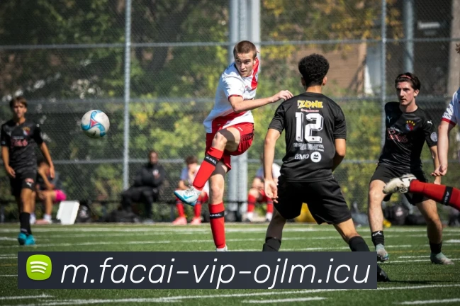 乐鱼体育平台生态图