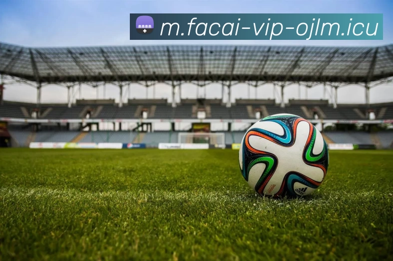 乐鱼体育全站App